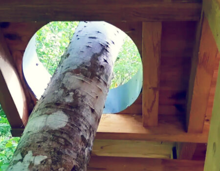 Gîte_Bungalow_Famille_Couple_Cabane_perchée_Arbre_Insolite_Atypique_Originale_Ecolodge_Spacieuse_Confortable_Pleine nature_Forêt tropicale_Plage_Deshaies_Guadeloupe_Caraïbes