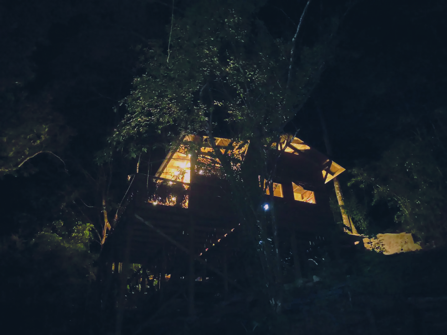 Vue de nuit sur la cabane perché entre les arbres, ecolodge spacieux et insolite, vue sur la mer des Caraïbes, plage de la Perle, Deshaies, Guadeloupe.