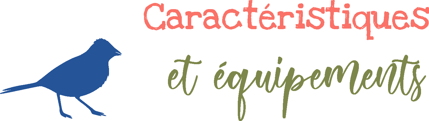 Caractéristiques des cabanes carrément perchées dans la forêt tropicale de Lydie à Deshaies en Guadeloupe.
